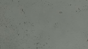 artStone_arcqitone_phlo-apron-mb475-qfz8svon2zjqz7thzpdqk4p6l9fgj6p2hutjaaw_wandverkleidung_detail