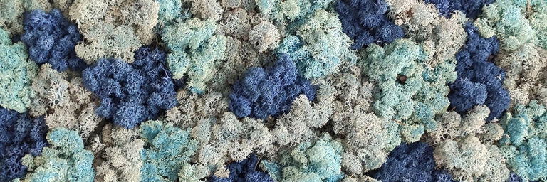 moosbild elements blau