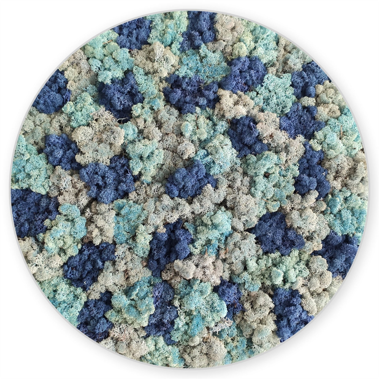 moosbild elements blau