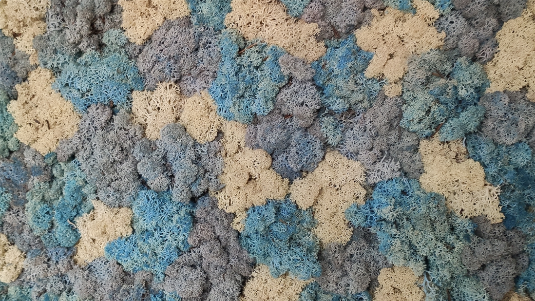 moosbild elements graublau flaeche