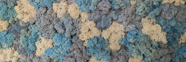 moosbild elements graublau