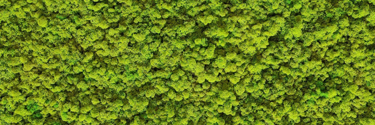 Islandmoos freshGreen Flaeche