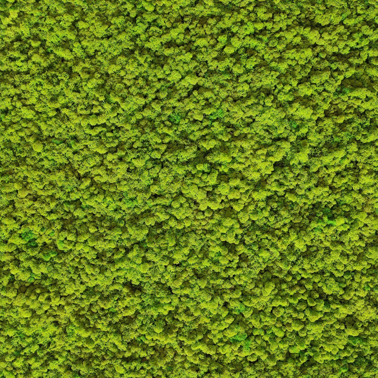 Islandmoos freshGreen Flaeche