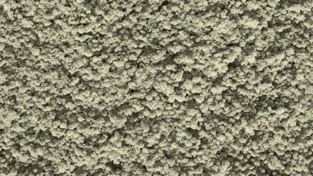 IslandMoss natural seamless 100x100
