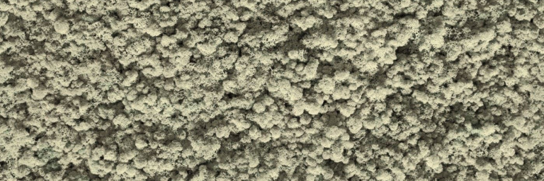 IslandMoss natural seamless 100x100