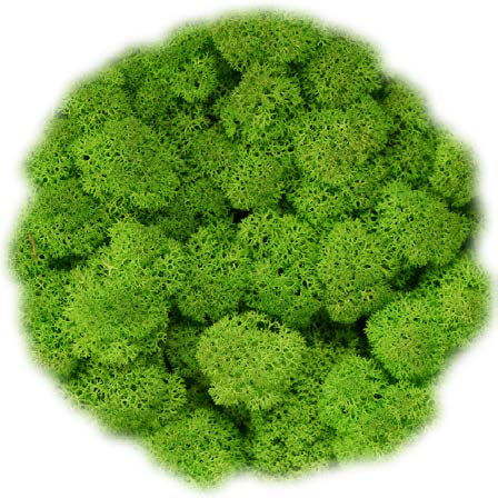 moos Farbton freshGreen Detail
