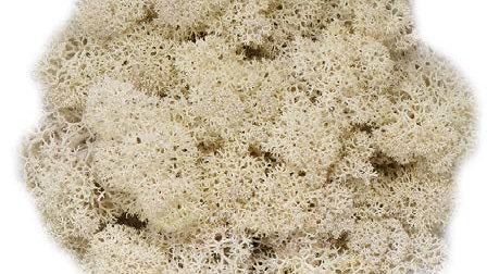 moos Farbton natural Detail