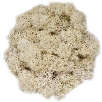 moos Farbton natural Detail