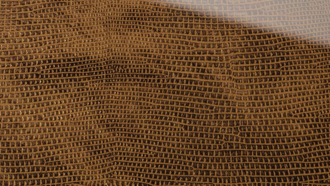 SG-LEGUAN-Copper-AR_D-1920x740