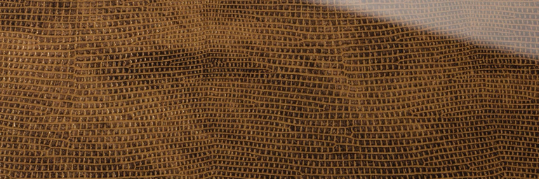 SG-LEGUAN-Copper-AR_D-1920x740