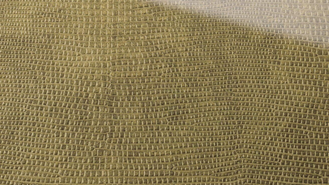 SG-LEGUAN-Gold-AR_D-1-1920x740