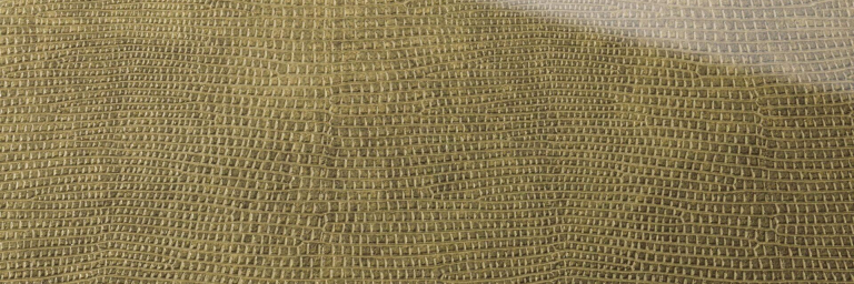 SG-LEGUAN-Gold-AR_D-1-1920x740