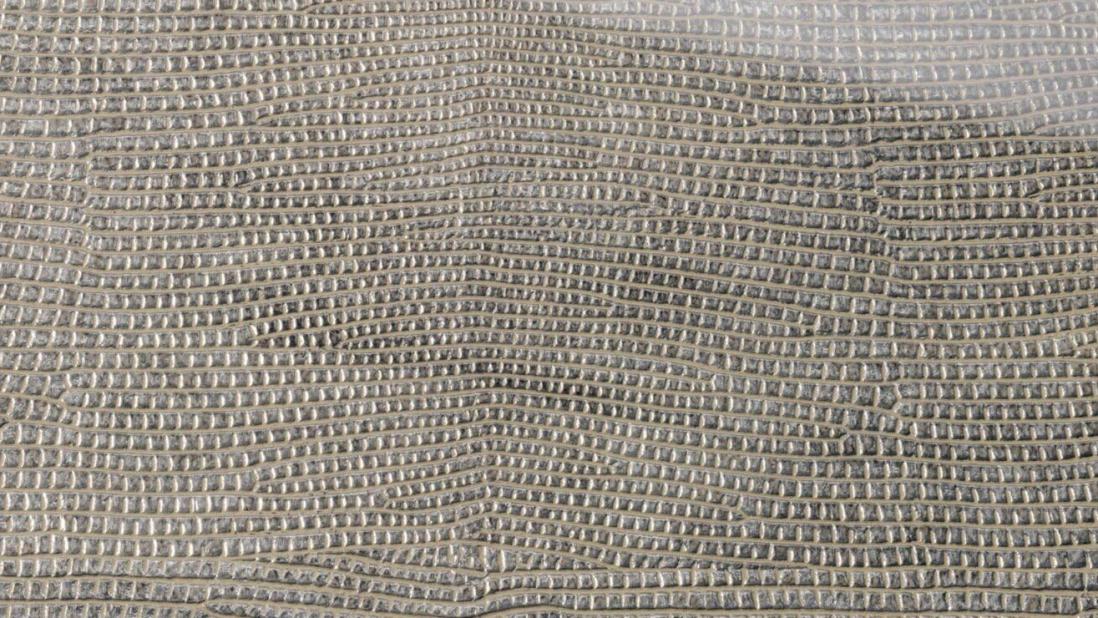 SG-LEGUAN-Silver-AR_D-1920x740
