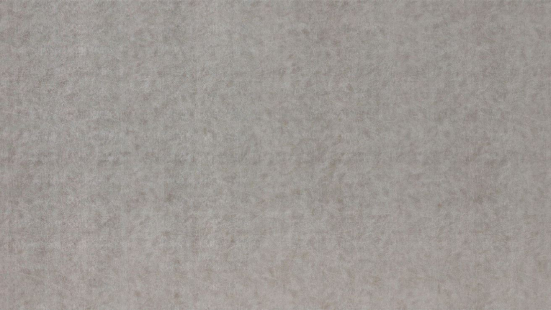 LL-LEGUAN-Silver_GP-1