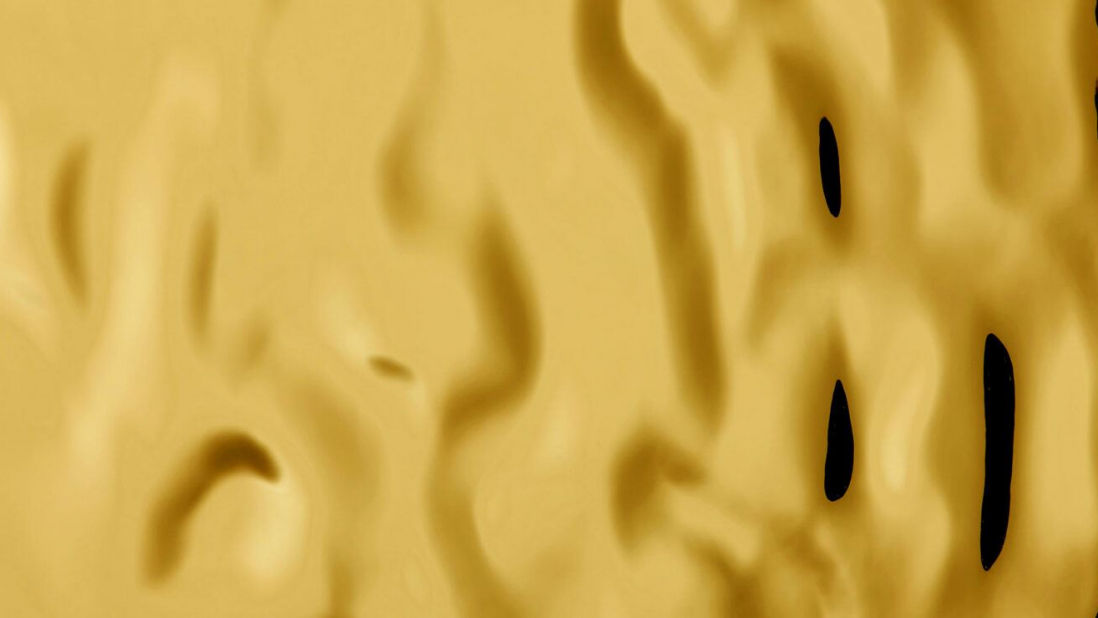 SL-OCEAN-Gold_D-1920x740