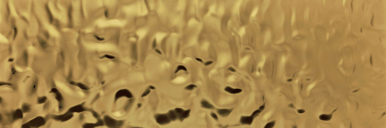 SL-OCEAN-Gold_GP