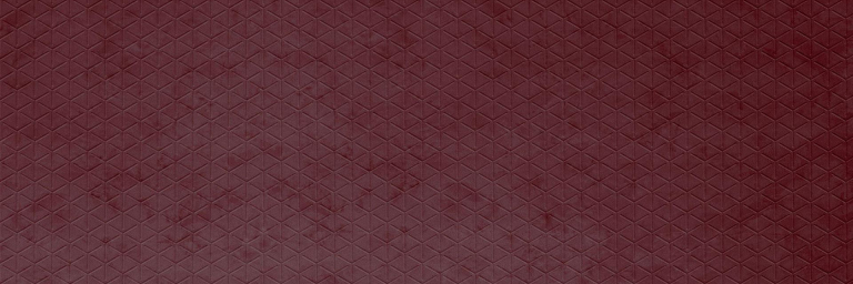FL-CUBE-VELVET-Bordeaux_GP
